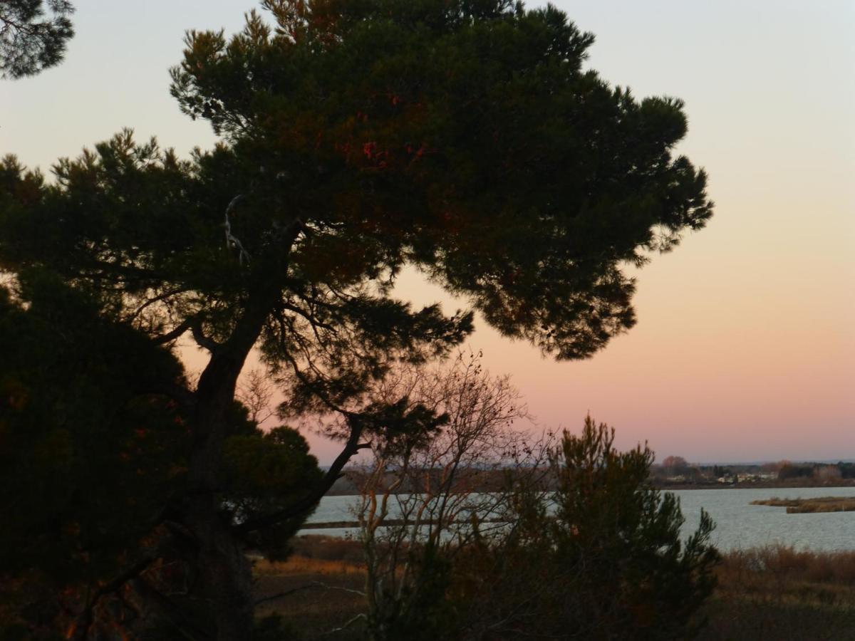 La Maison Du Mole Aigues-Mortes Exteriér fotografie