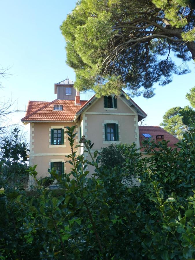 La Maison Du Mole Aigues-Mortes Exteriér fotografie